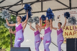 falunap2014_20_20180901